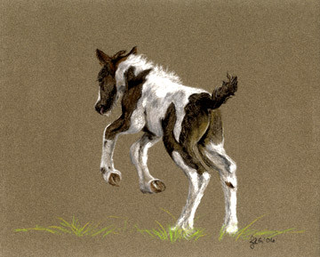 The King's Curtain Call, Gypsy Vanner