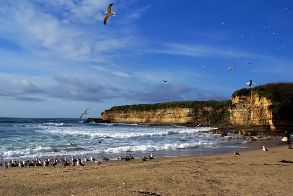 highway 1
