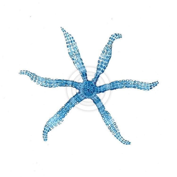 Starfish