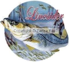 Snook