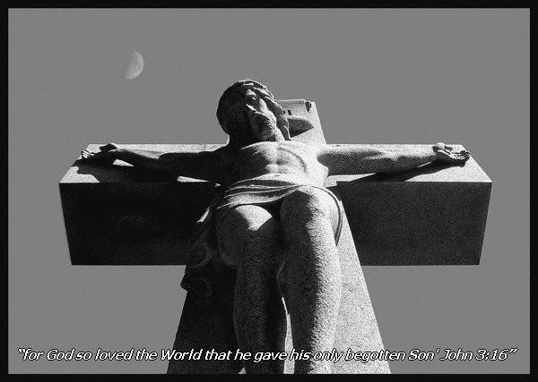 Begotten Son