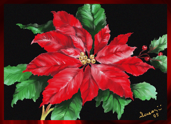 Christmas Poinsettia