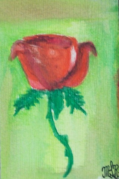 A Single Rose