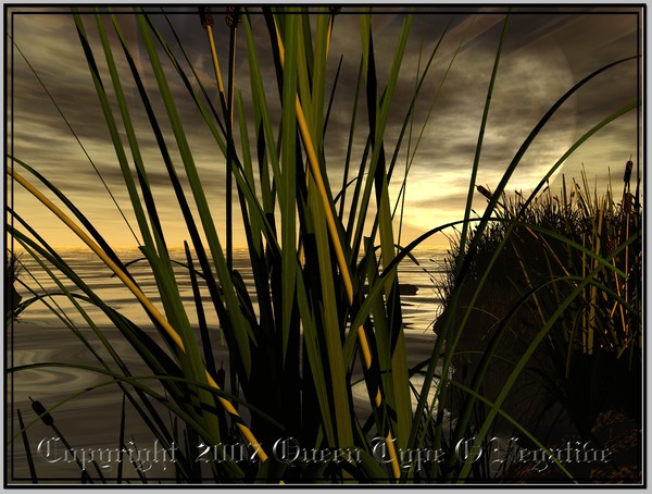 Into The Twilight Gloaming