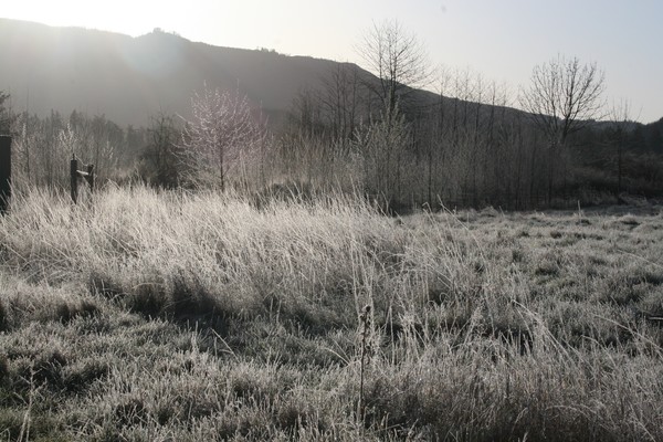 Here Comes the Sun