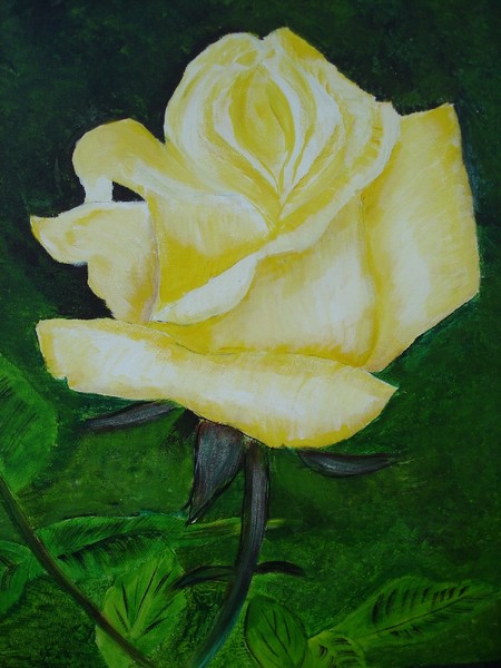yellow rose in texas 2