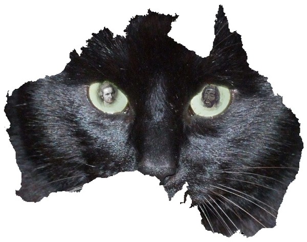 CatMap