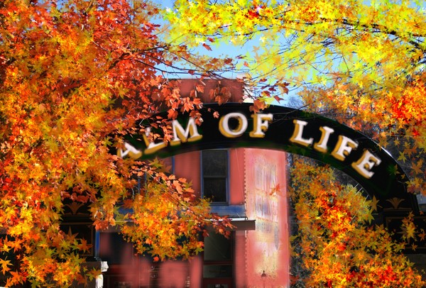 FALL COLORS IN BASIN SPRINGS, THE BALM OF LIFE