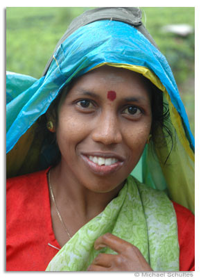 Tamile teeplucker in Sri Lanka