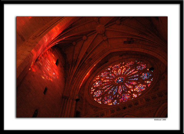 Nat Cathdral 5