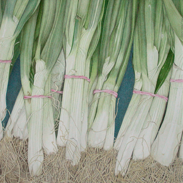 Spring onion