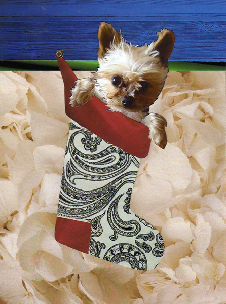 Holiday Yorkie