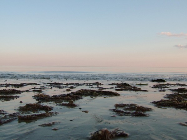 The dead sea