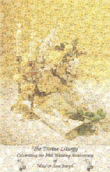 Example of my Photo Mosaic's