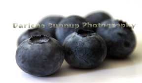 Blueberries2