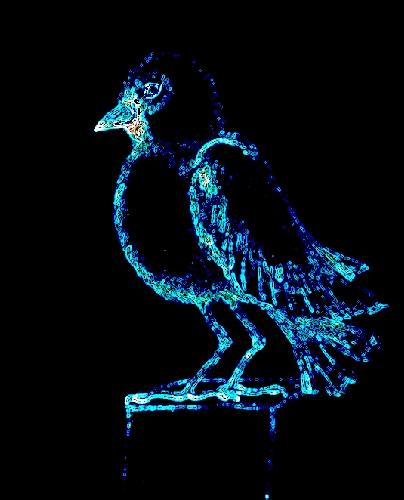 Blue Raven