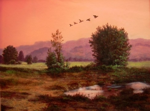 bush and hill