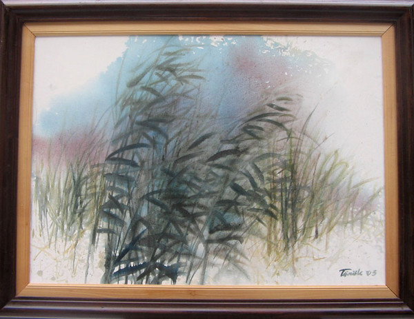 Reeds
