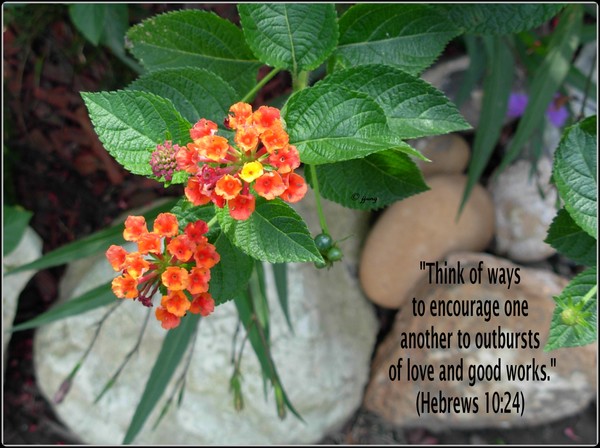 Encourage Good Deeds