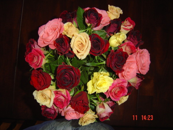 Beautiful Roses