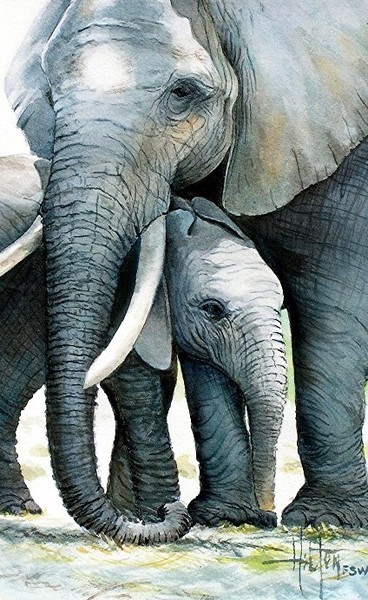 Tembo and Baby