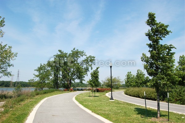 Walk Along Wolf Lake Photo