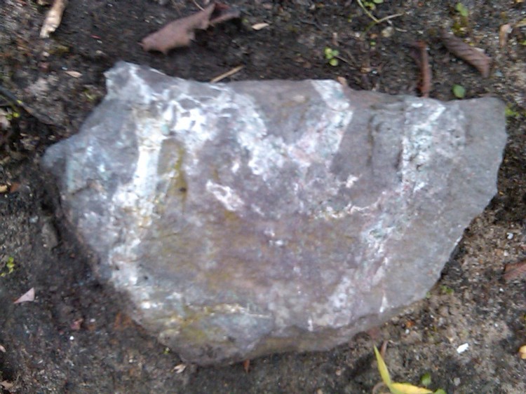 IMG01371-20101121-1336