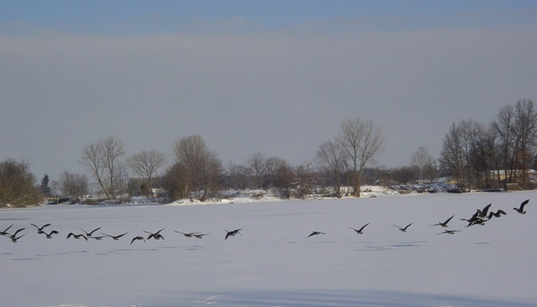 Over the Frosty Lake