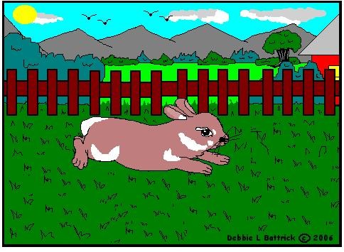 Rabbit