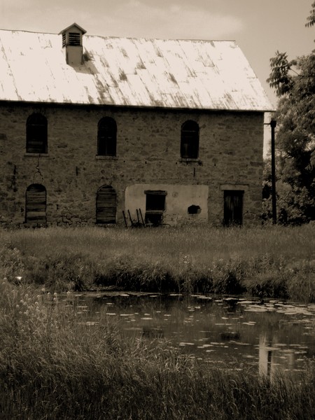 Forgotten Estate