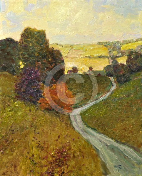  DSC The Old Road 20 x 16