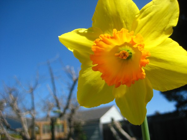FIRST DAY OF SPRING TODAY