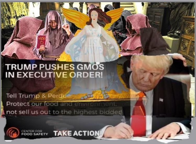 TRUMP AT THE KARMA TABLE 1