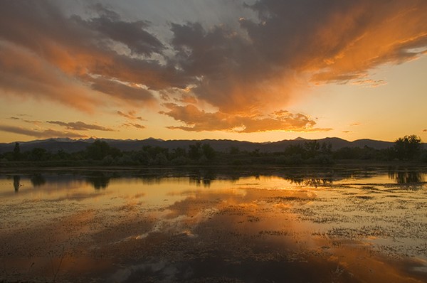 Flight Of Sunset