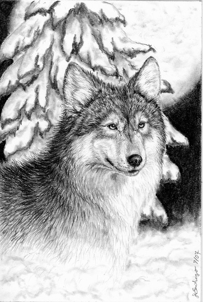 Wolf Moon