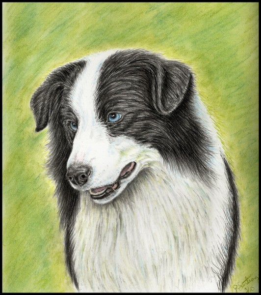 Blue Eyes are Smiling