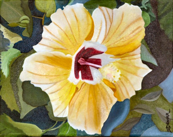 Hibiscus