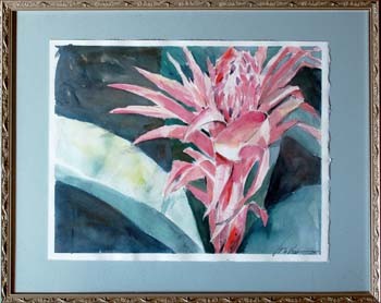 Pink Flower
