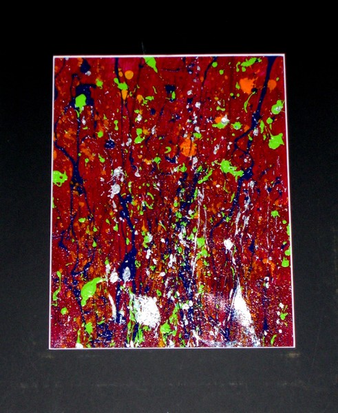 008 - Mardis Gras Celebration #1