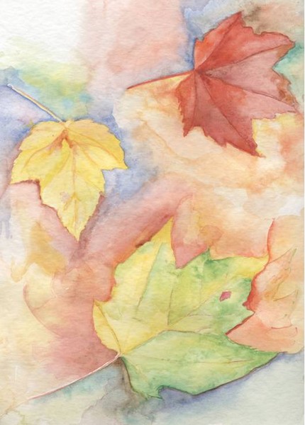 Fall Colors
