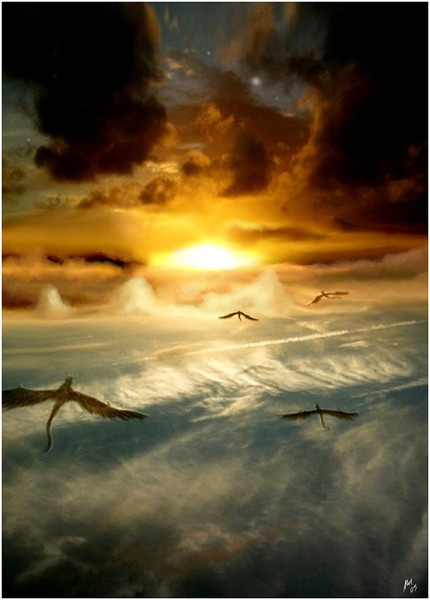 Take Flight