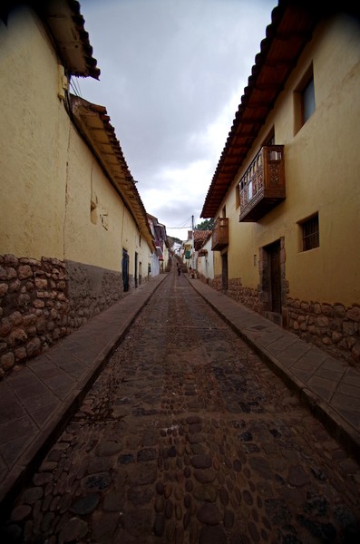IMGP2989