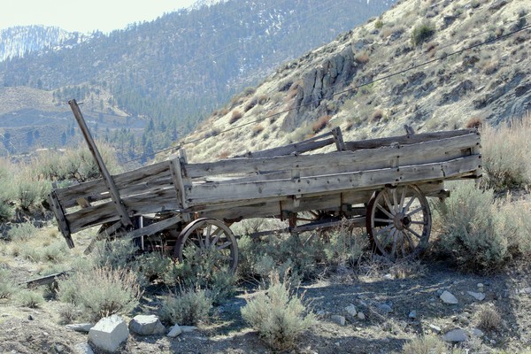 Wagon_at_WalliesJPG