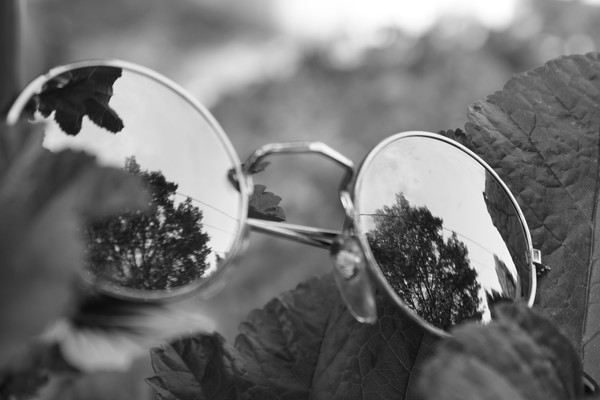 Reflections