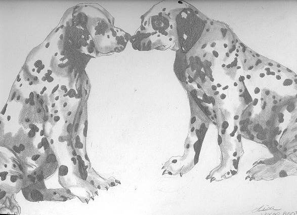 Eskimo Kisses