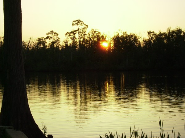 The delta at sunset