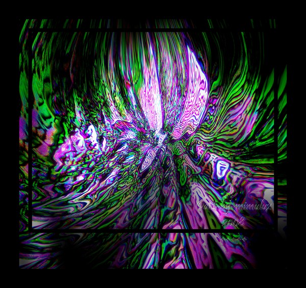 Cascading Lavender
