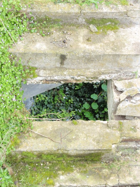 Watch Your Step
