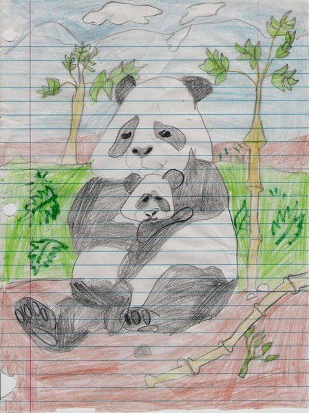 Panda I drew for my moms Birthday
