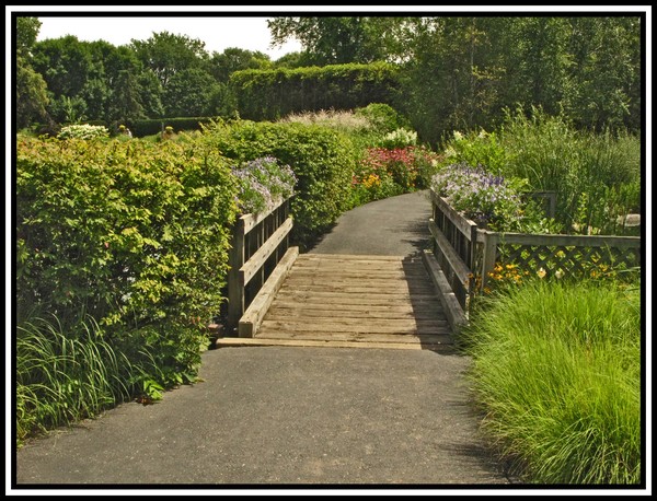 BRIDGE TO GREENERY